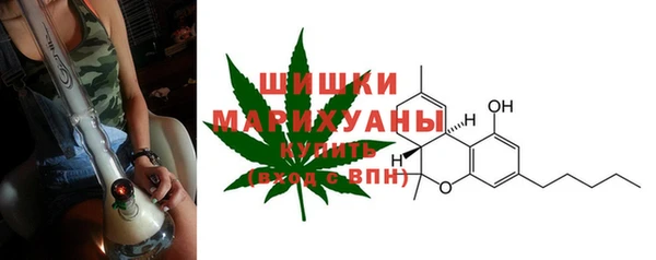 индика Абдулино